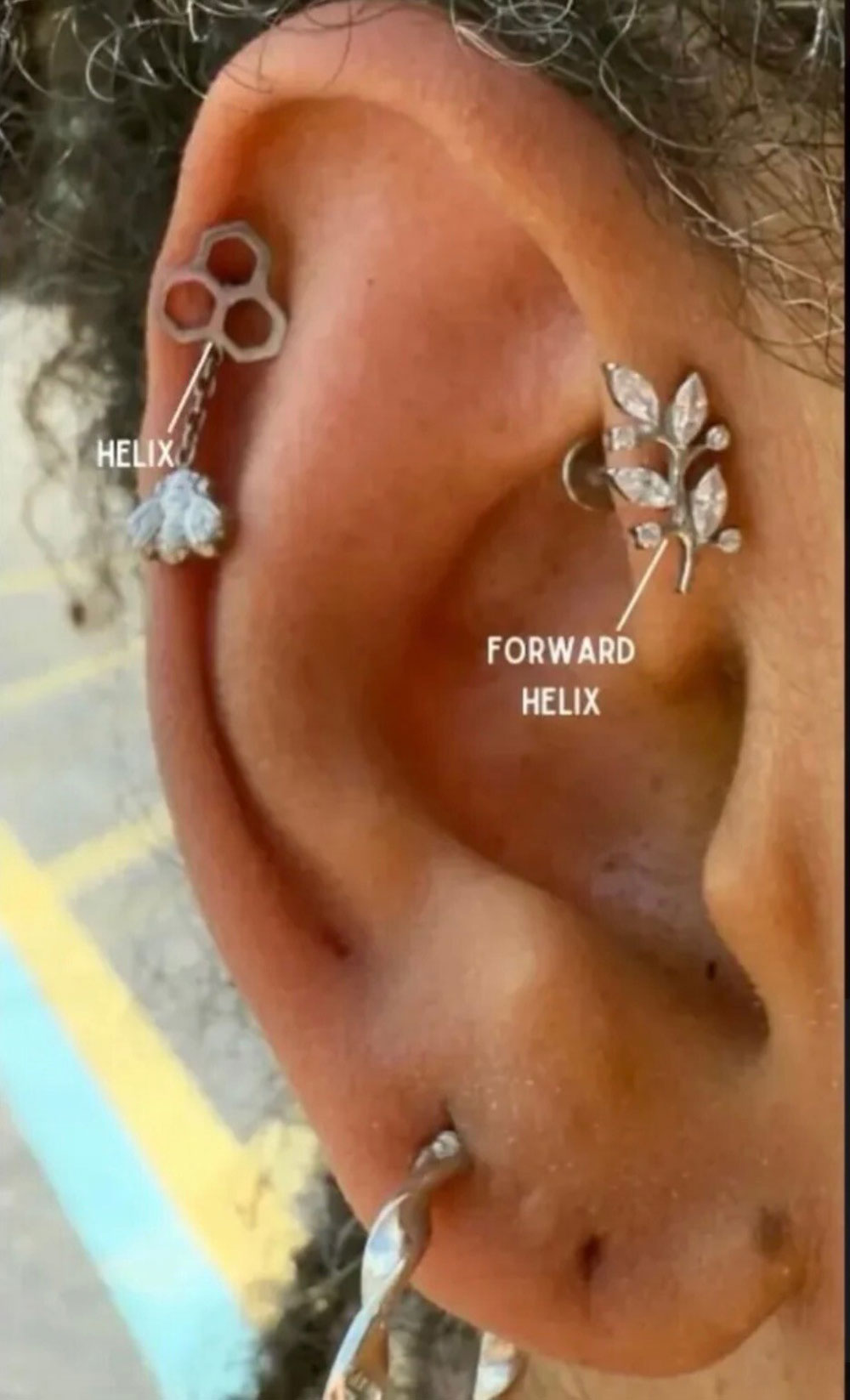 Helic ear Piercing, serving Sarasota, Manatee County and all of Tampa Bay